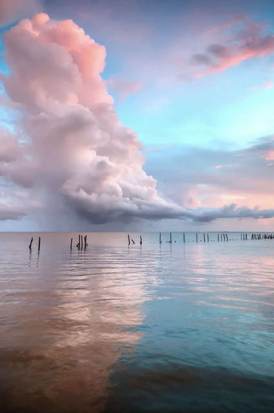 事物的另一面让我们着迷